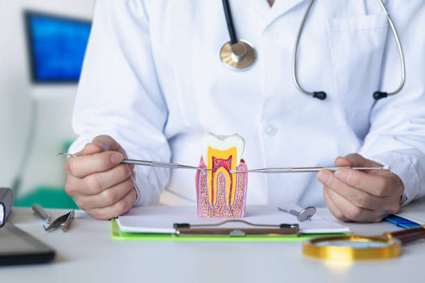 Best Pediatric Emergency Dentist in Sugarland Run, VA